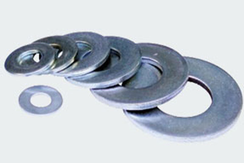 Duplex Steel Washers