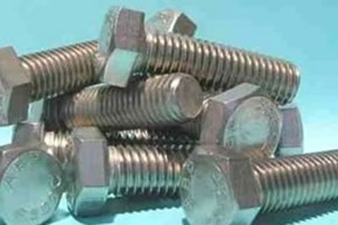 Stainless Steel Bolts