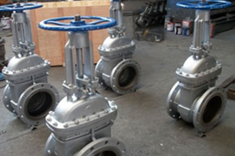 Stainless Steel Gate Valves